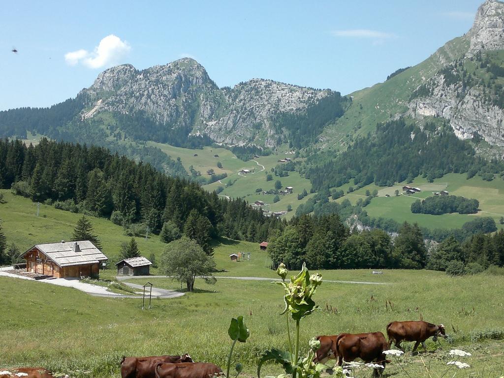 Luxurious Chalet In Le Chinaillon With Sauna Villa Le Grand-Bornand Eksteriør billede