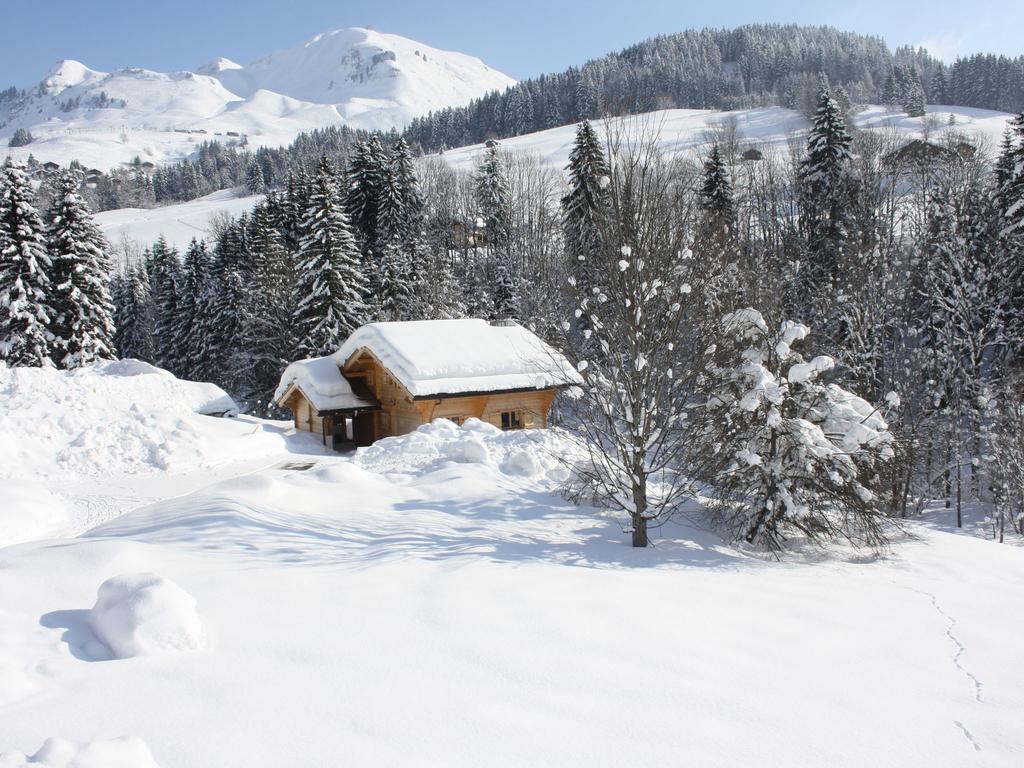 Luxurious Chalet In Le Chinaillon With Sauna Villa Le Grand-Bornand Eksteriør billede